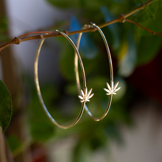 Cannabis Hoop Earrings - Sugar Rose